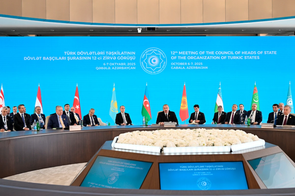 Prezident: TDT-yə üzv ölkələrlə Azərbaycan bir çox önəmli sərmayə layihələrini icra edib