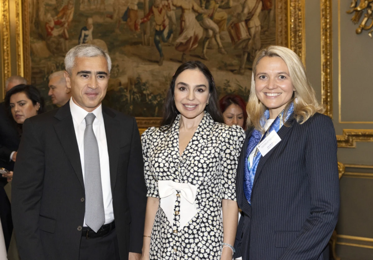 Leyla Əliyeva Londonda yüksəksəviyyəli iqlim dialoqunda iştirak etdi — 3