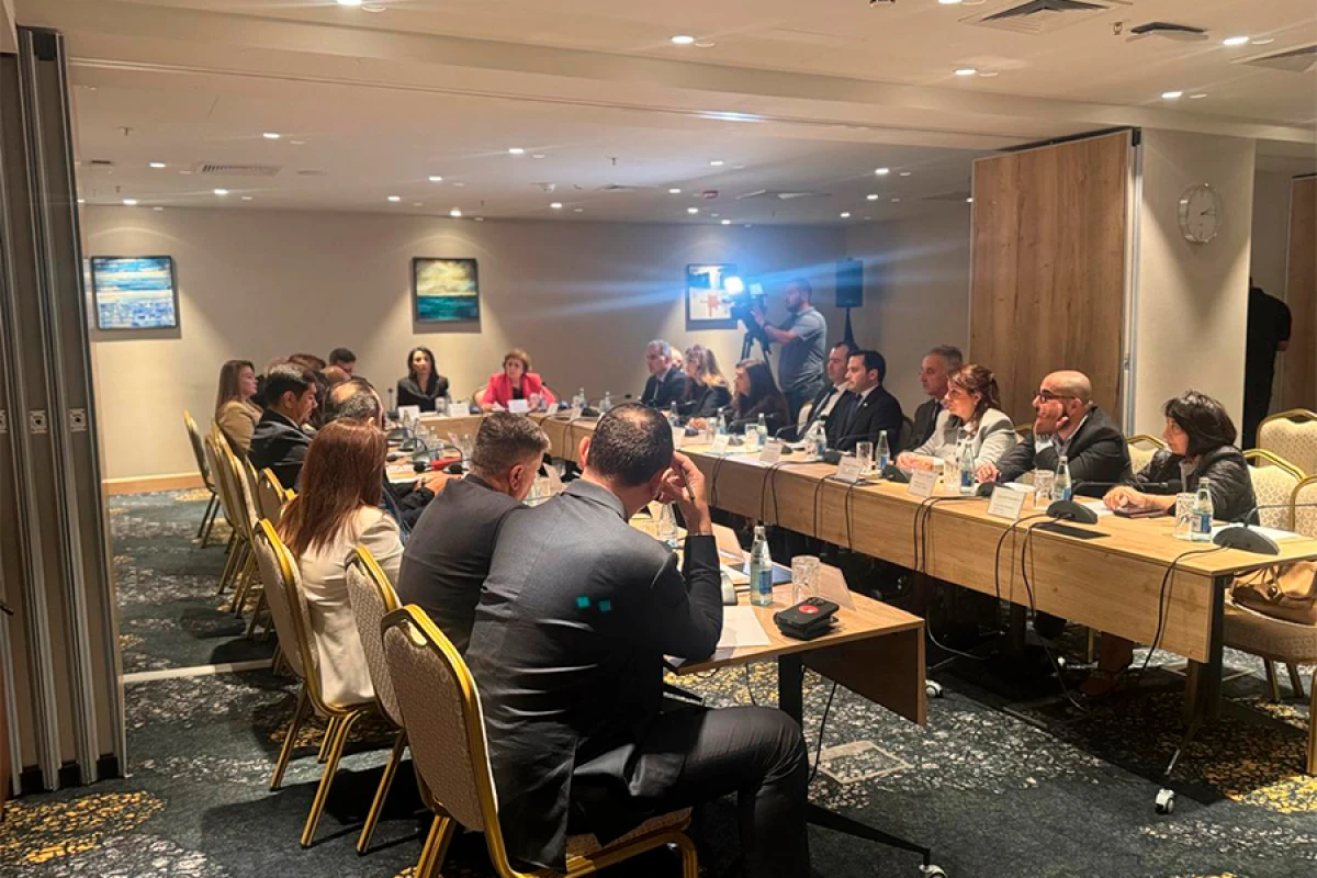 Səbinə Əliyeva: “Azərbaycan cəmiyyətində psixi sağlamlıqla bağlı stiqmatizasiya məsələsi aktualdır”