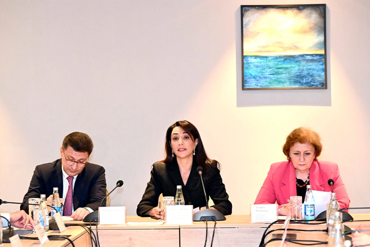 Ombudsman Səbinə Əliyeva: ”Uşaq mərkəzləri ilə bağlı da problemlər mövcuddur”