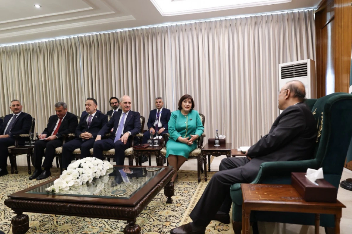Milli Məclisin sədri Pakistan Prezidenti ilə görüşdü