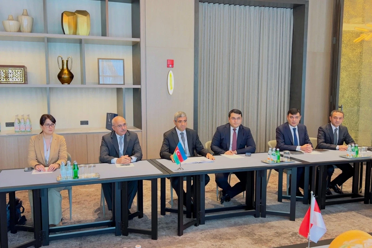 Azərbaycan İndoneziya və Qətərlə müzakirələr apardı — 1