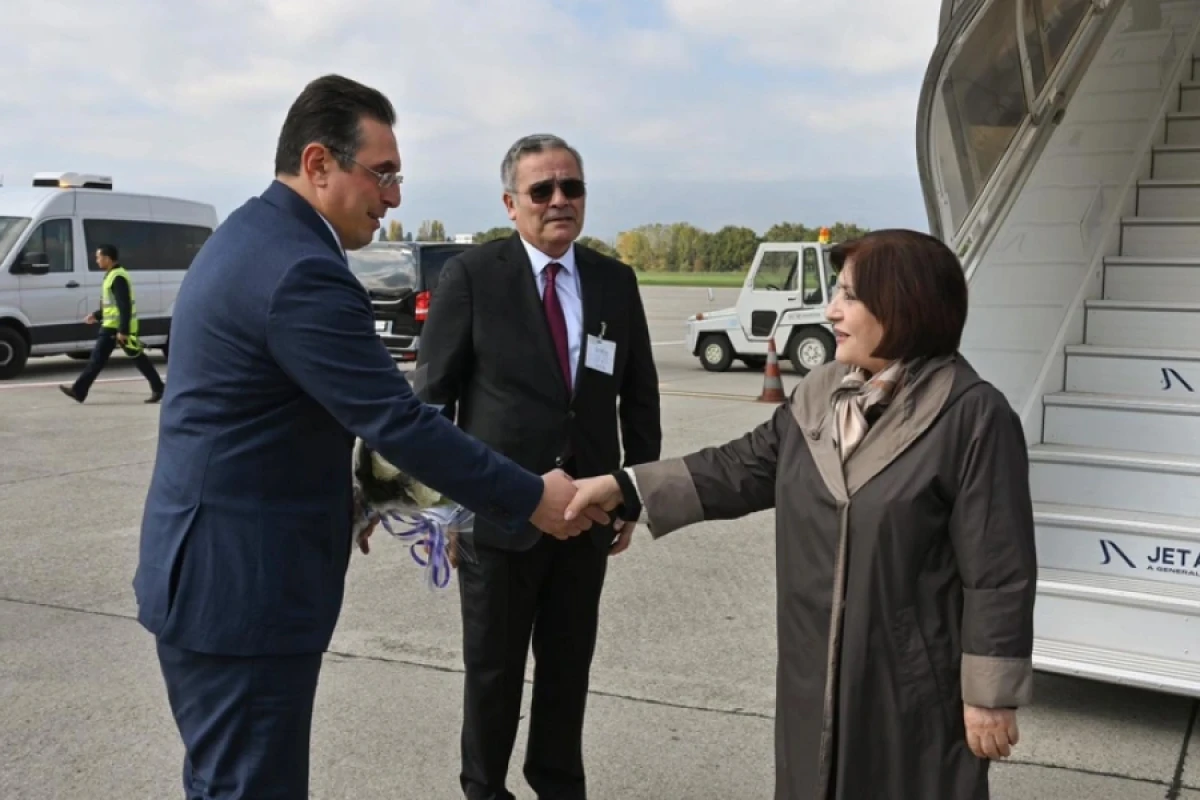 Sahibə Qafarova İsveçrəyə işgüzar səfər etdi — 1