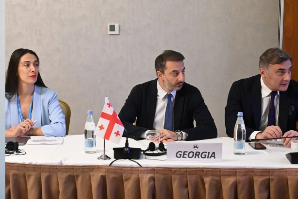 Qara dəniz regionunda süni intellektin rolu müzakirə edildi