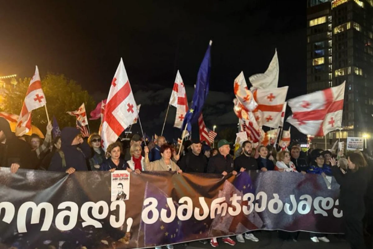Tbilisidə hökumət əleyhinə yürüş keçirildi