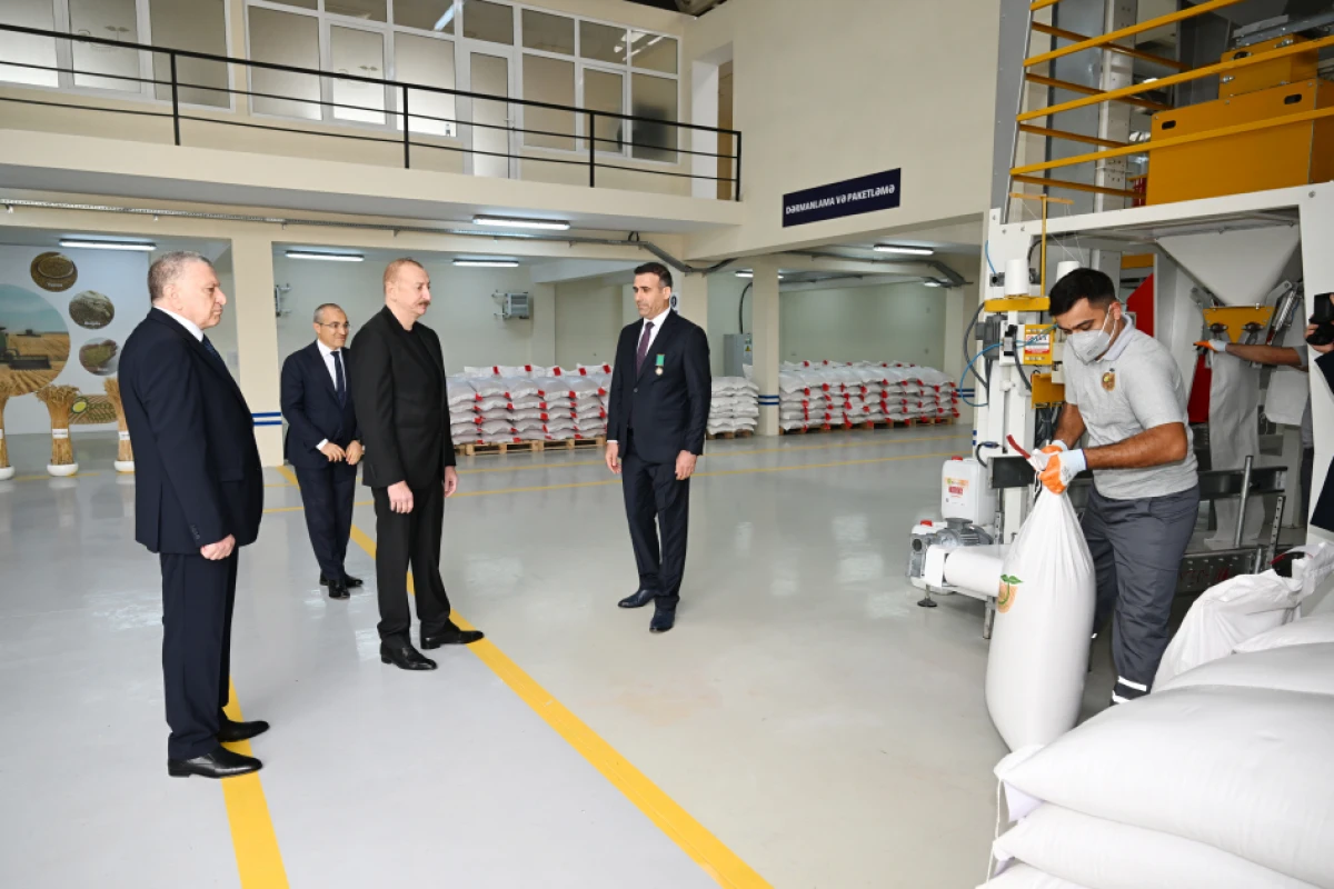 Prezident Sabirabad Sənaye Məhəlləsində toxum istehsalı müəssisəsinin fəaliyyəti ilə tanış oldu — 5