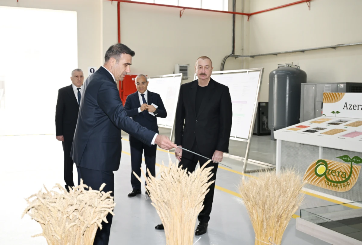 Prezident Sabirabad Sənaye Məhəlləsində toxum istehsalı müəssisəsinin fəaliyyəti ilə tanış oldu — 6