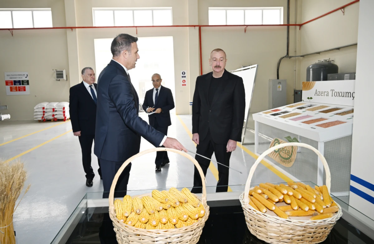 Prezident Sabirabad Sənaye Məhəlləsində toxum istehsalı müəssisəsinin fəaliyyəti ilə tanış oldu — 7