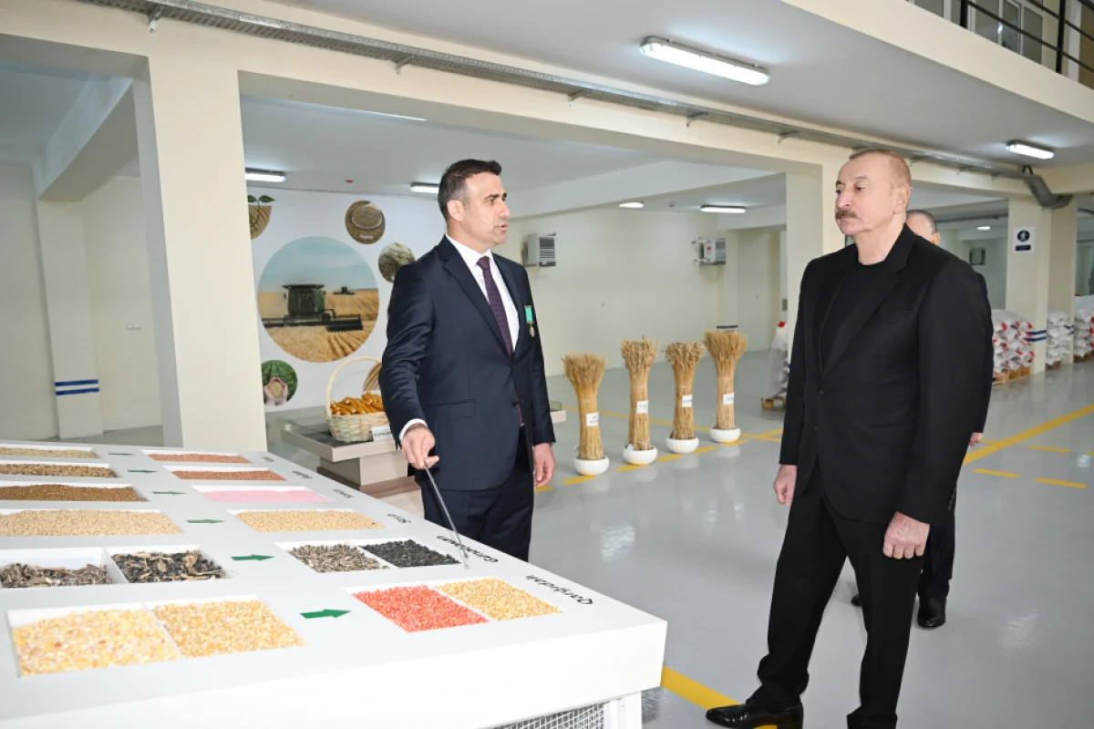 Prezident Sabirabad Sənaye Məhəlləsində toxum istehsalı müəssisəsinin fəaliyyəti ilə tanış oldu — 8