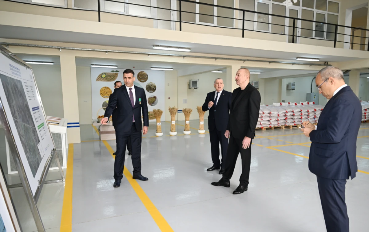 Prezident Sabirabad Sənaye Məhəlləsində toxum istehsalı müəssisəsinin fəaliyyəti ilə tanış oldu — 9