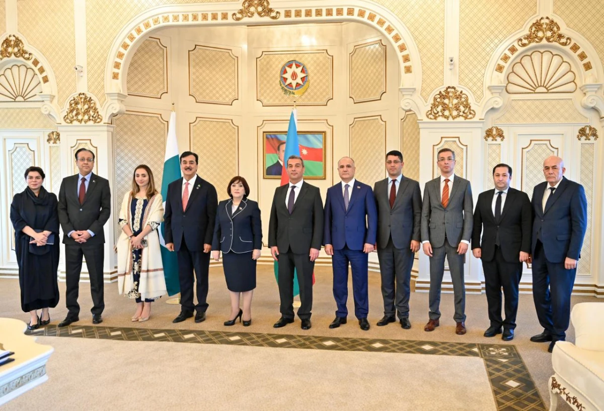 Milli Məclis və Pakistan Senatının sədrlərinin görüşü oldu — 5