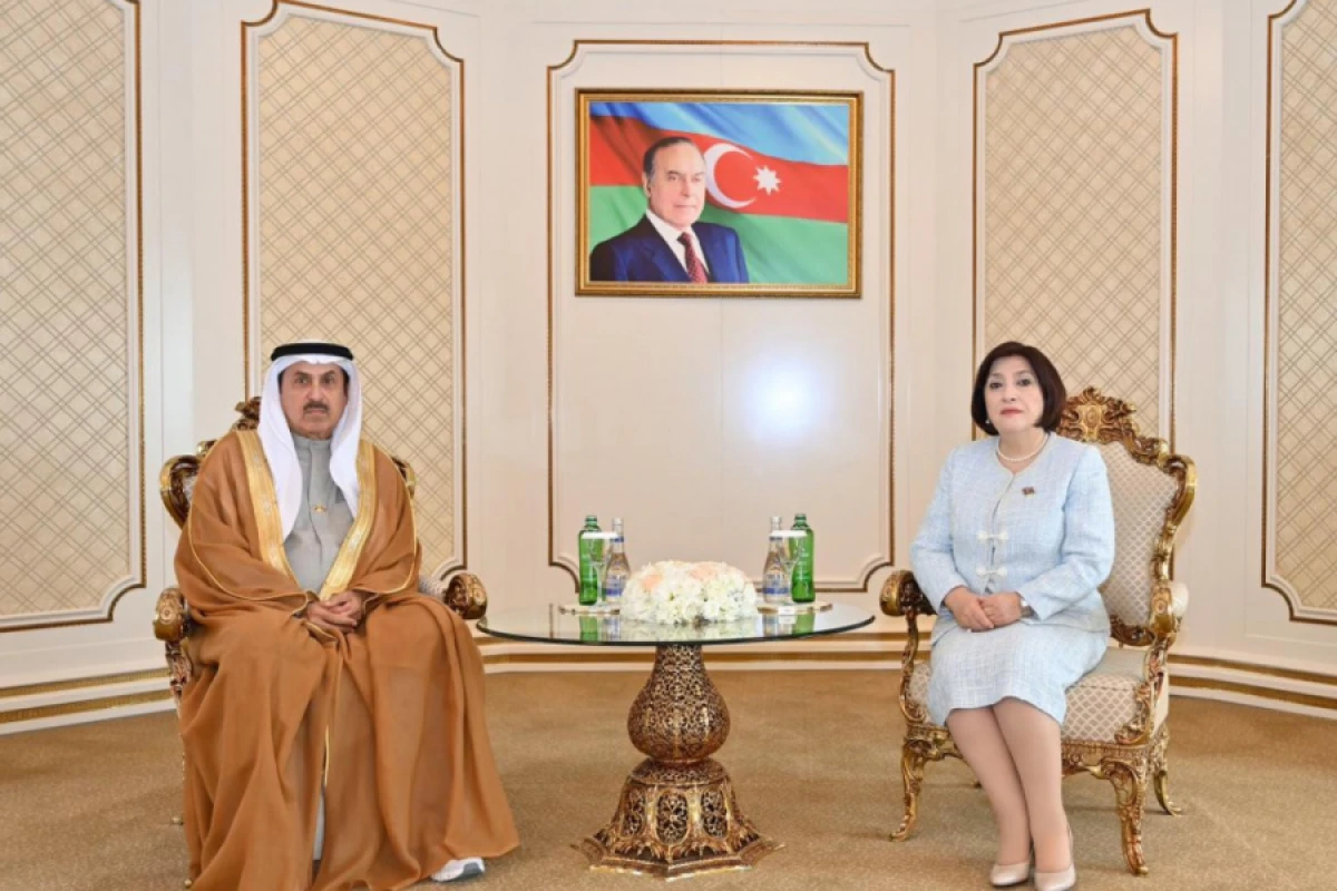 Milli Məclis və BƏƏ Federal Milli Şurasının sədrlərinin görüşü oldu