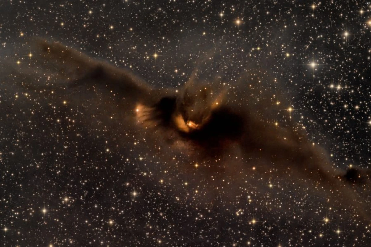 Astronomlar “kosmik yarasa” kəşf etdilər