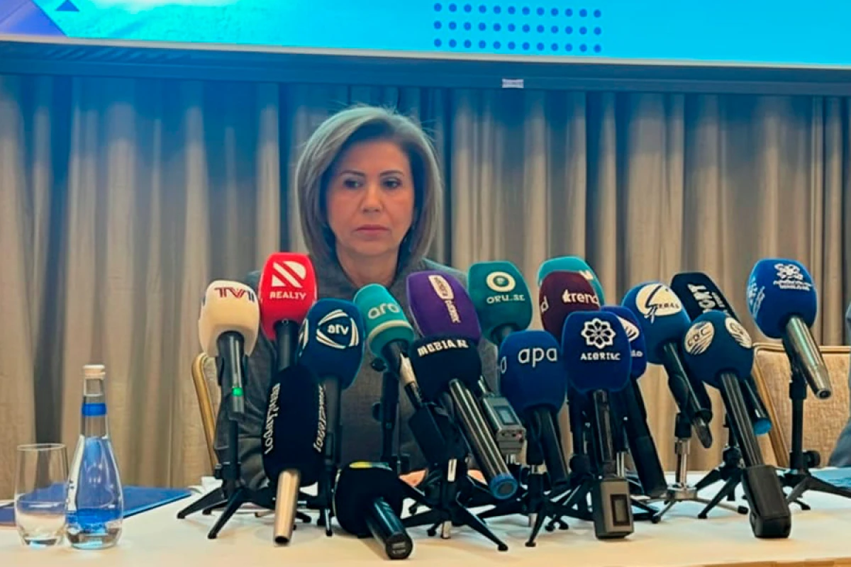 Bahar Muradova: "Komissiyaların fəaliyyəti vahid yanaşma əsasında həyata keçiriləcək"