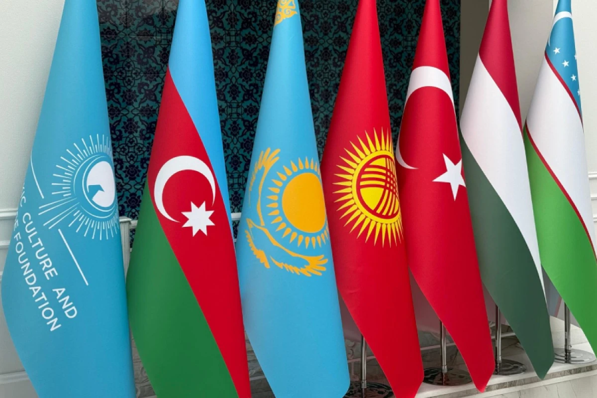 TDT-nin veb-saytı bütün üzv ölkələrin ana dillərində istifadəyə verildi