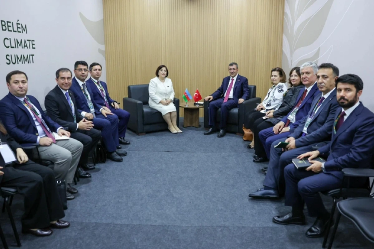 Sahibə Qafarova Türkiyənin vitse- prezidenti ilə COP29-un nailiyyətlərini müzakirə etdi