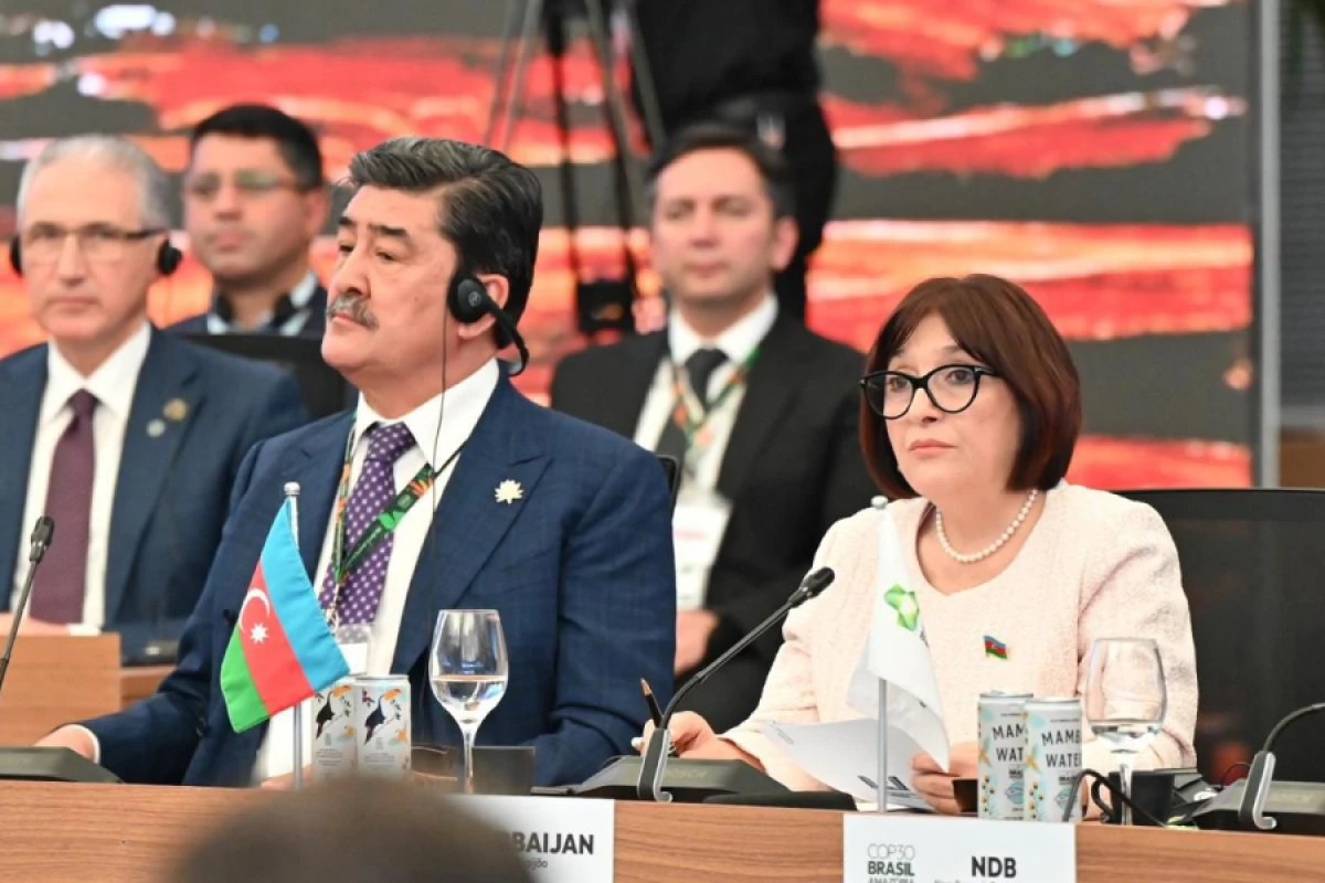 Sahibə Qafarova “Enerji Keçidi” mövzusunda sessiyada çıxış etdi