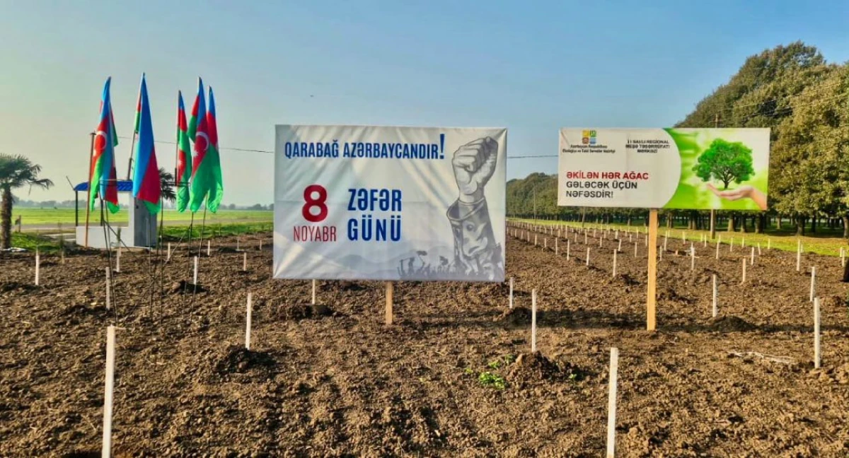 Zəfər Günü münasibəti ilə  30 mindən çox ağac əkildi