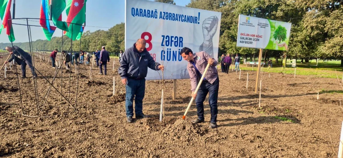 Zəfər Günü münasibəti ilə  30 mindən çox ağac əkildi — 4