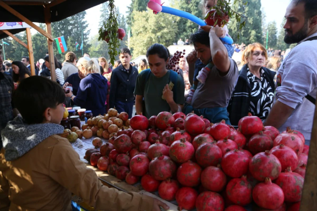 Göyçayda ənənəvi "Nar Festivalı" keçirildi