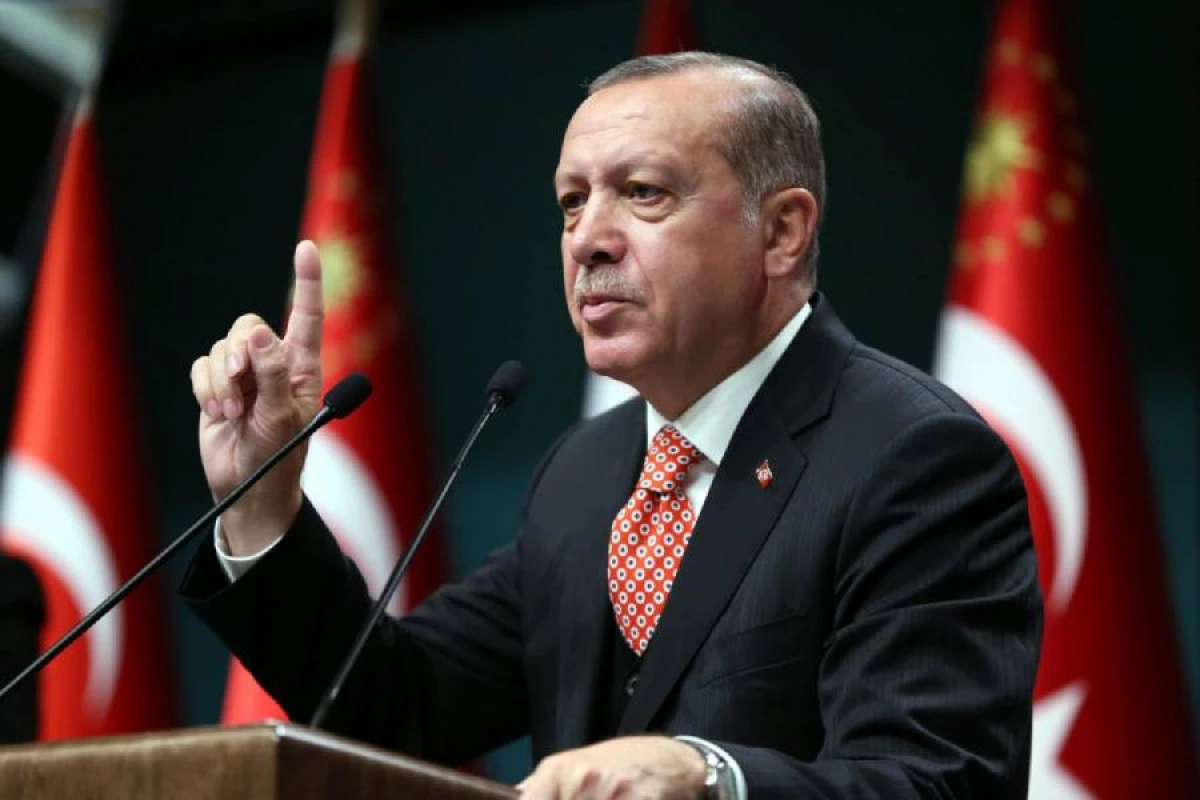 Ərdoğan: "Təyyarə qəzası ilə bağlı Gürcüstanla koordinasiyalı şəkildə işləyirik"