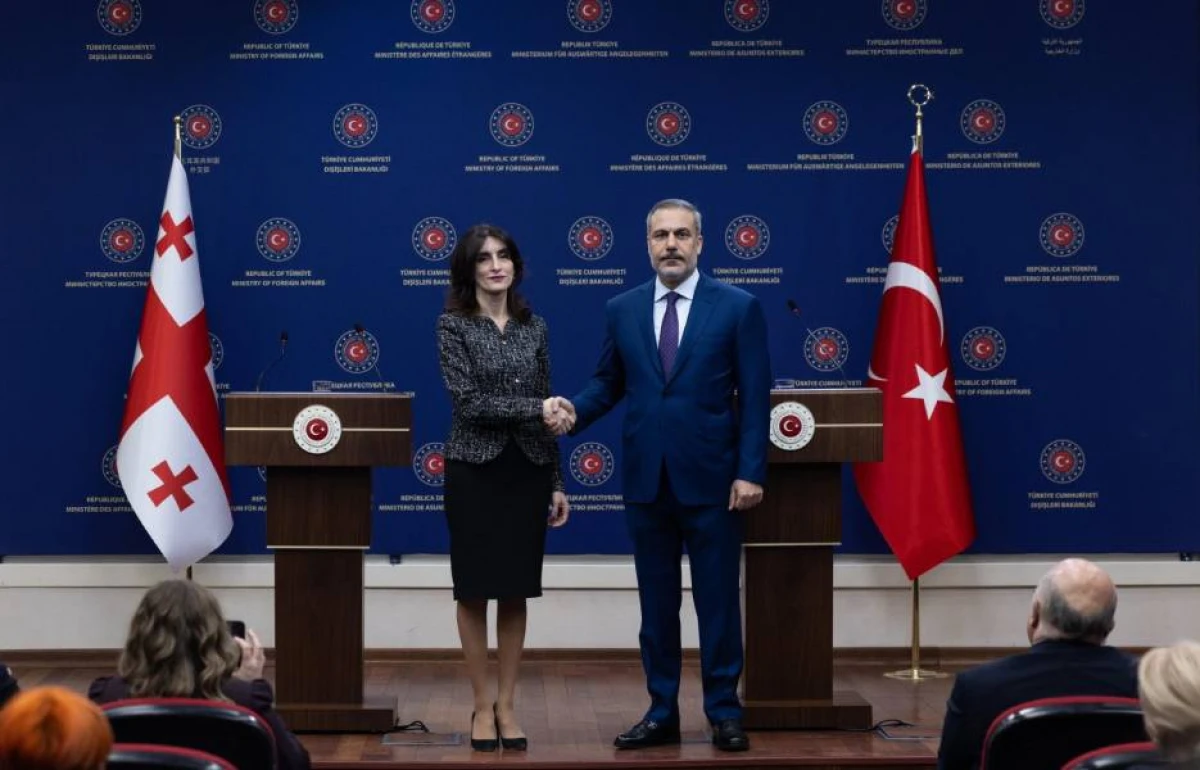 Türkiyə və Gürcüstan XİN rəhbərləri təyyarə qəzasını müzakirə etdi
