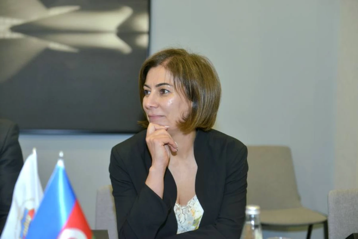 FIDE-dən Azərbaycan şahmat hakimliyinə verilən yüksək qiymət