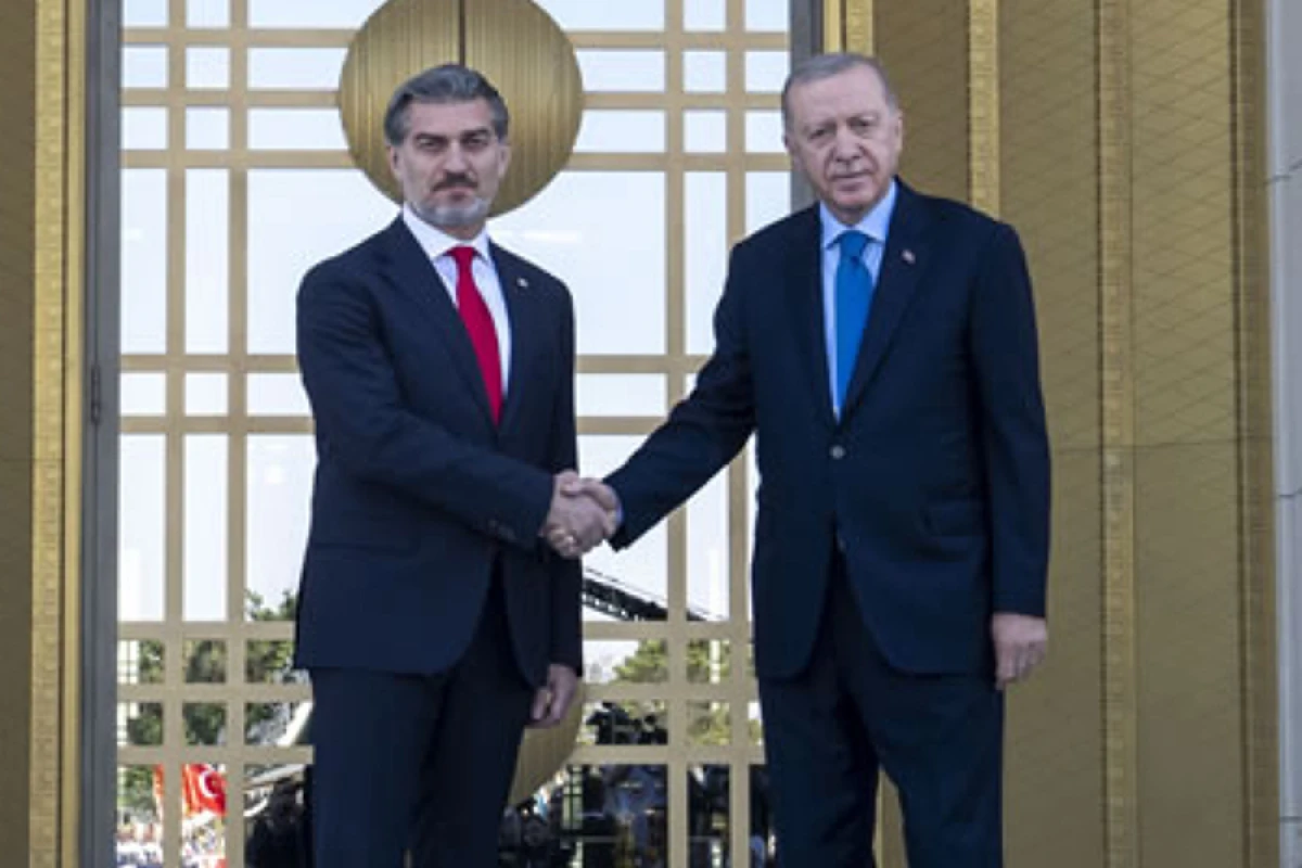Ərdoğan Gürcüstan Prezidenti ilə telefon danışığı apardı