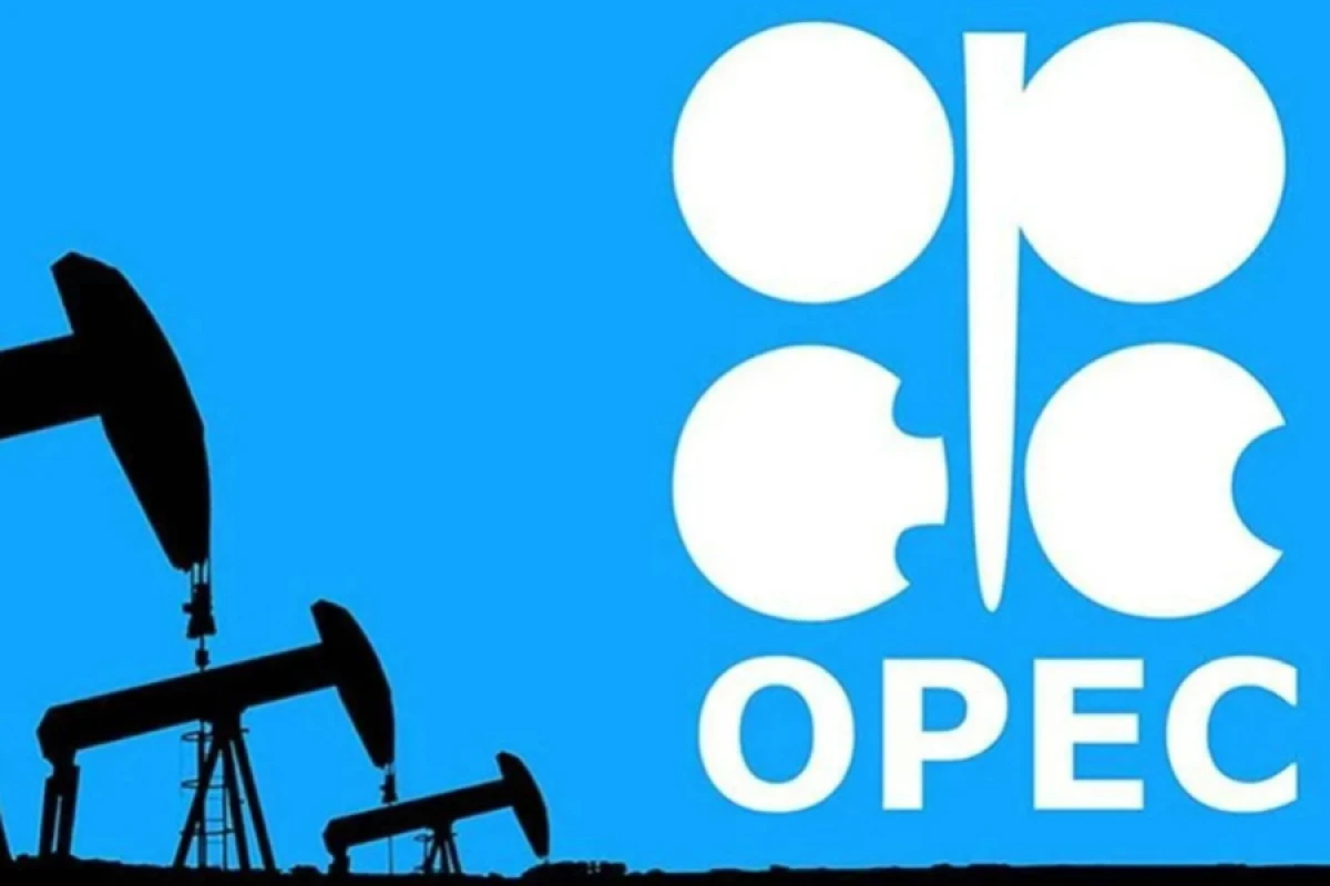 OPEC 2025-2026-cı illərdə neftə tələbatın artım proqnozunu açıqladı