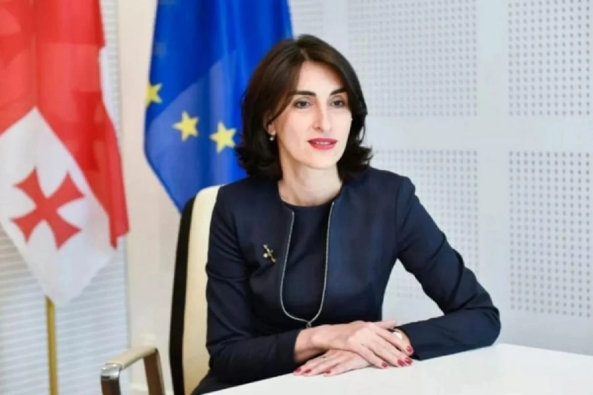Gürcüstan Vaşinqton bəyannaməsini alqışladı