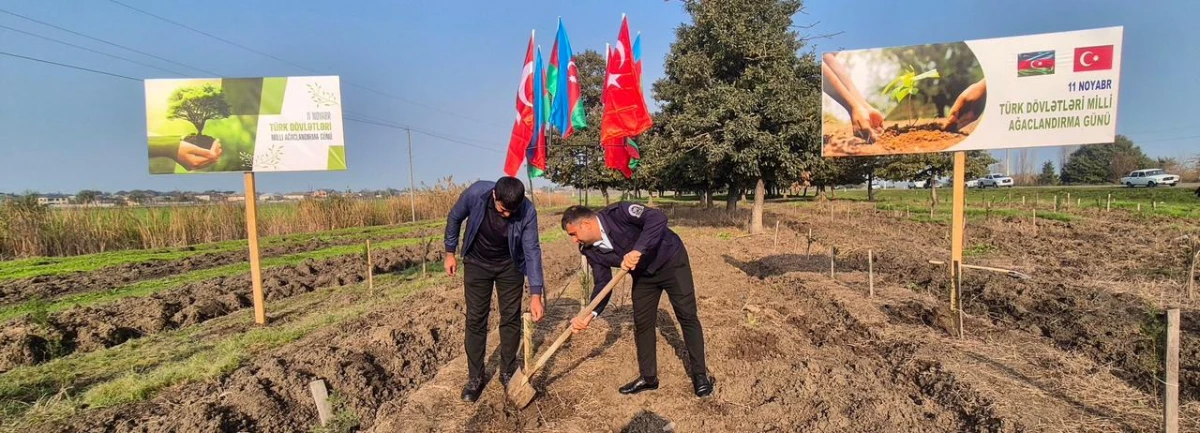 “Gələcəyə nəfəs!” aksiyası çərçivəsində bir gündə 111 111 ağac əkildi — 2