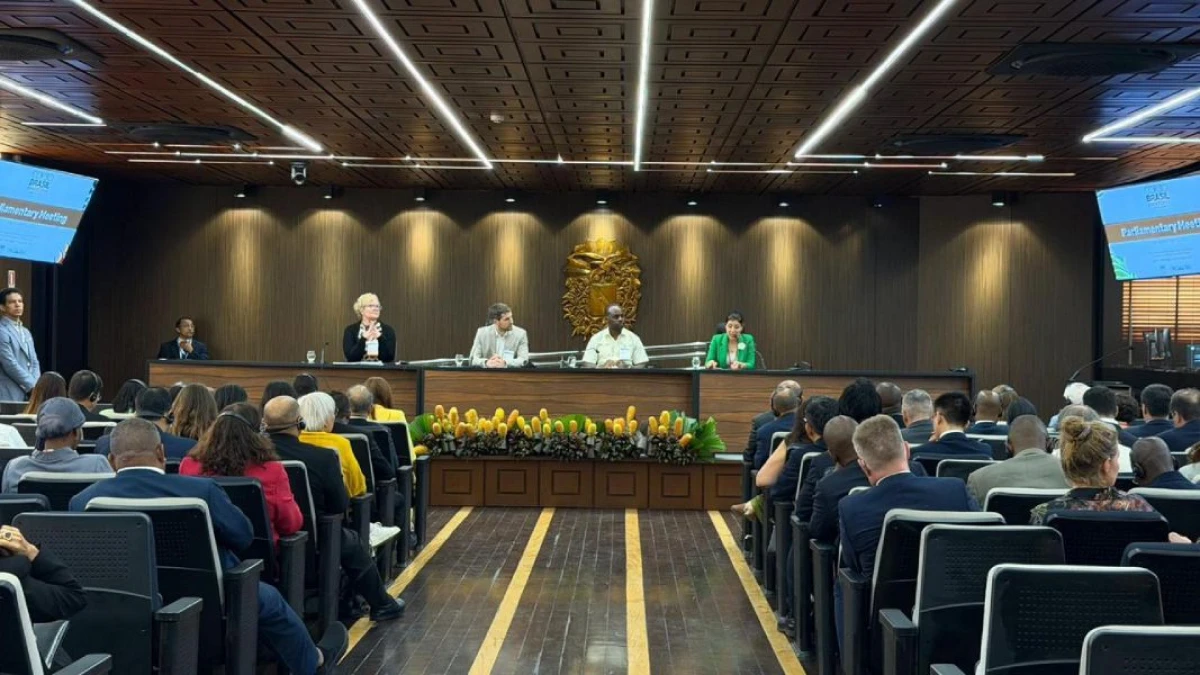 Nigar Arpadarai COP30 çərçivəsində Braziliyada keçirilən parlament görüşündə çıxış etdi