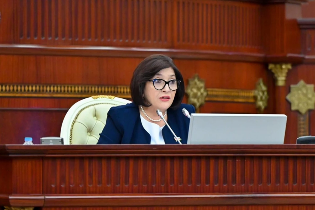 Sahibə Qafarova: Prezident İlham Əliyevin rəhbərliyi ilə Azərbaycanın iqtisadi müstəqilliyi möhkəmlənib