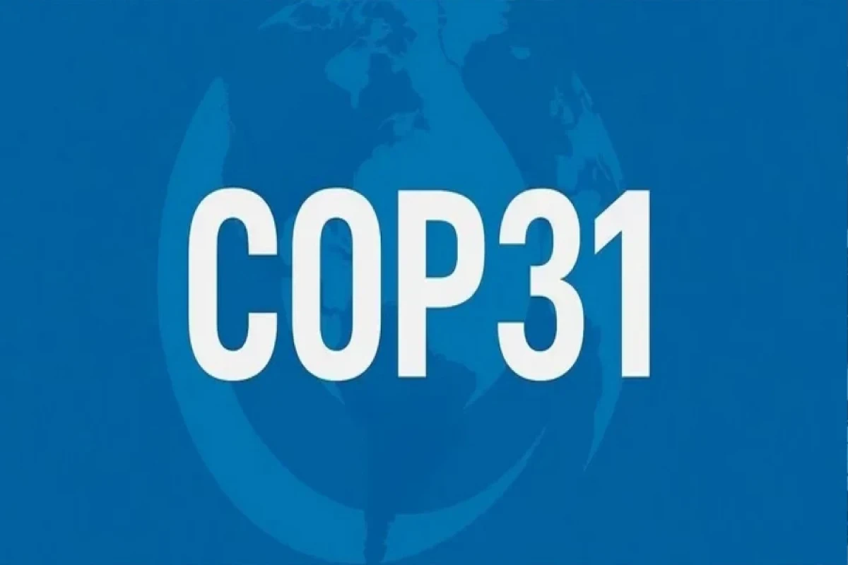 COP31-lə bağlı vacib missiyalar Azərbaycana həvalə olundu