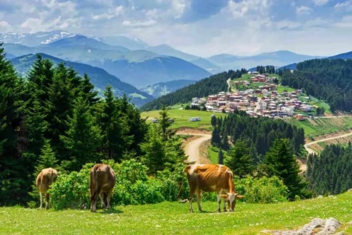 Giresun -  Qara Dənizin yaşıl cənnəti — 1