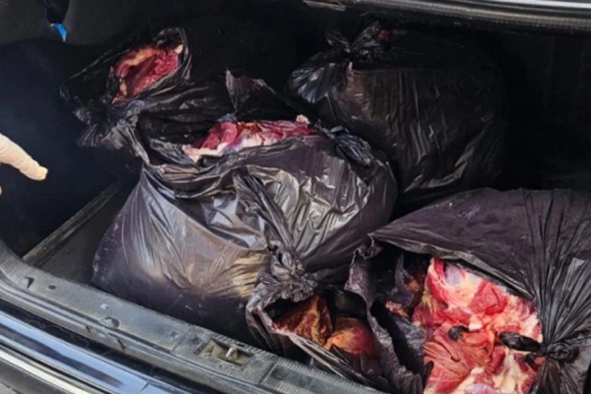 Bərdədə 154 kiloqram at ətinin mal əti adı ilə satışa çıxarılmasının qarşısı alındı