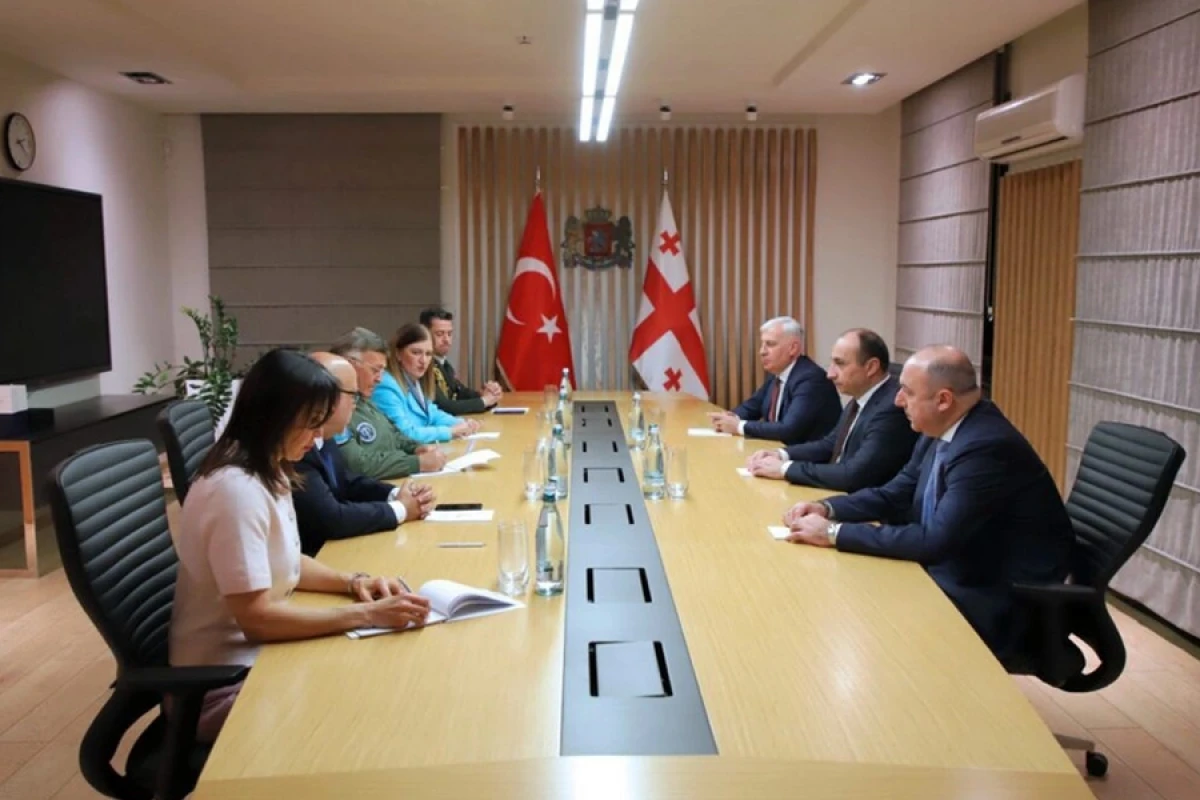 Geka Geladze türkiyəli generalla təyyarə qəzasını müzakirə etdi