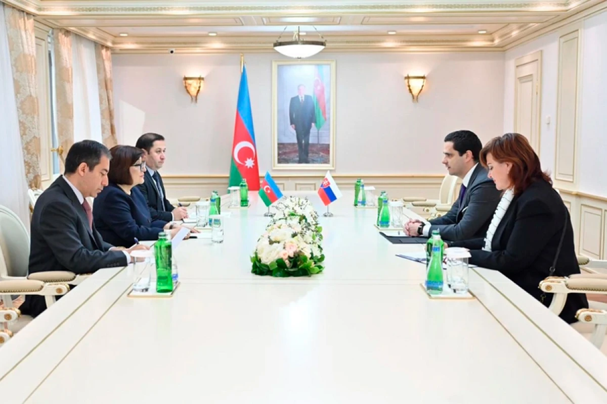Azərbaycan və Slovakiya parlamentləri arasında əlaqələrin inkişafı müzakirə olundu