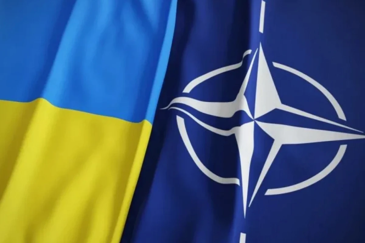 NATO baş katibinin müavini Ukraynada səfərdədir