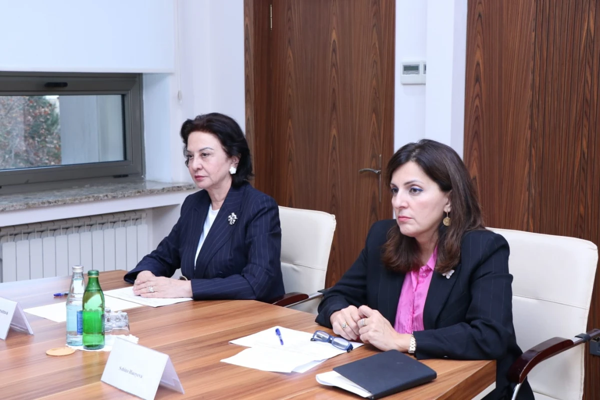 Ekspert şurasının növbəti iclası keçirildi — 4