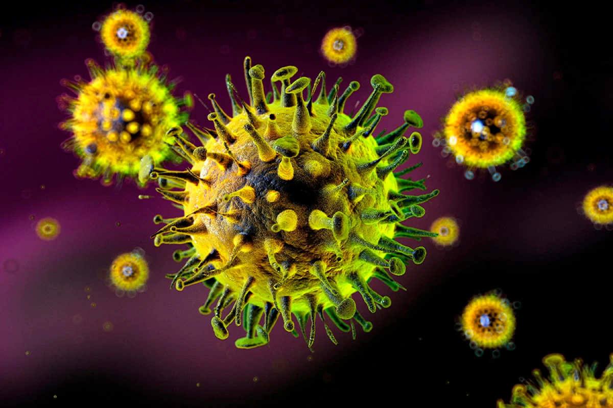 Qazaxıstanda kəskin virus infeksiyası artır