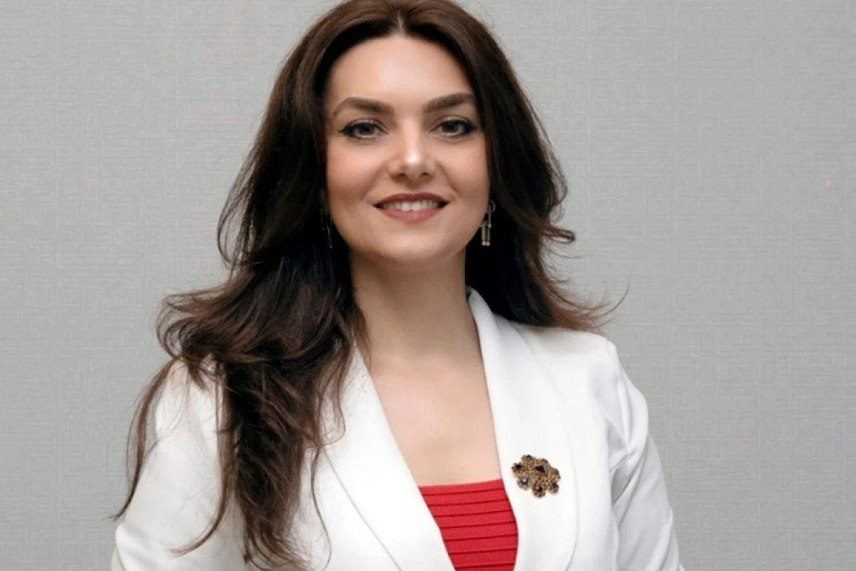 “El Qayğısı” İctimai Birliyinə icraçı direktor təyin edildi