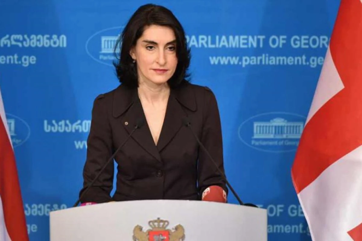 Boçorişvili: "Azərbaycan Gürcüstan üçün vacib tərəfdaşdır"