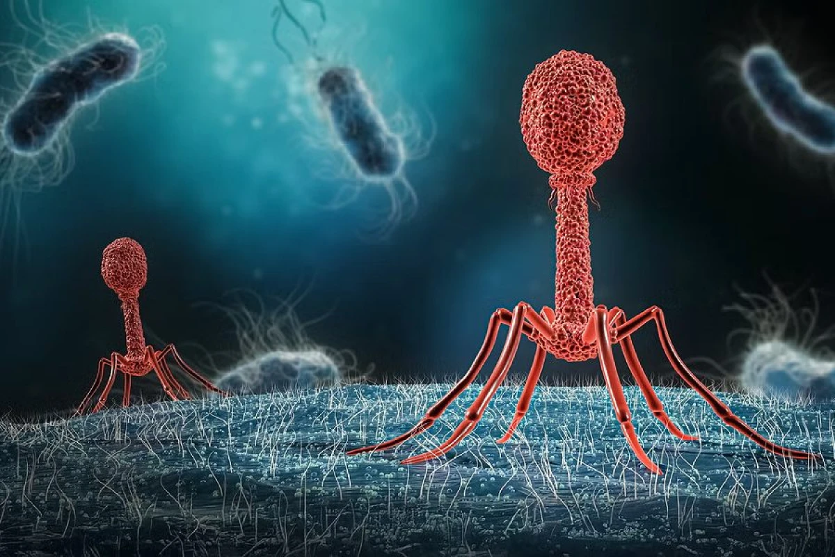 Dünyada yeni virus sürətlə yayılır