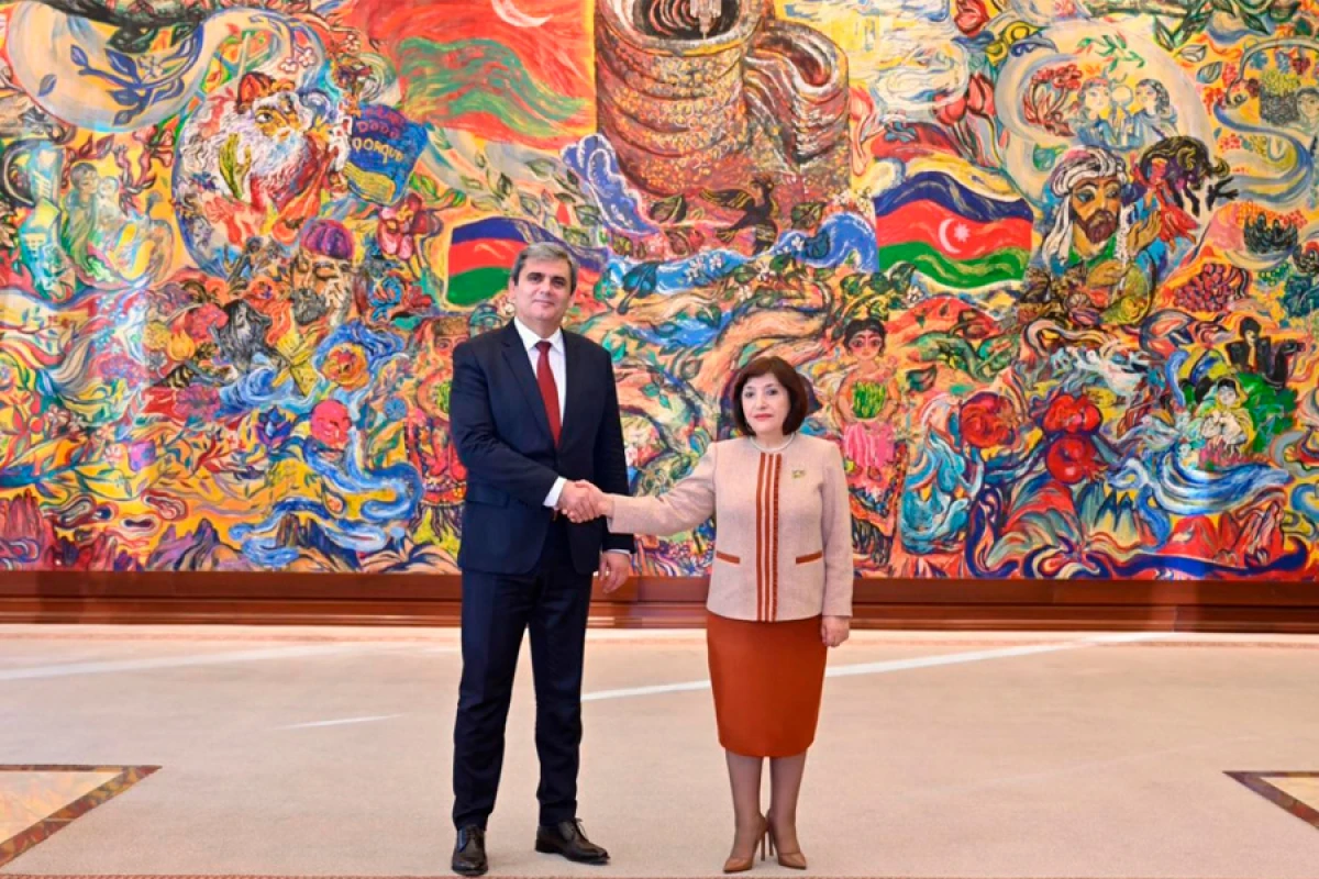 Sahibə Qafarova Monteneqro XİN rəhbəri ilə görüşdü