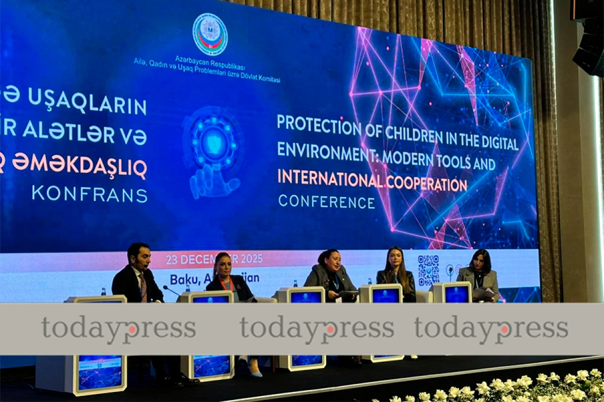 Alev Ecevit: “ŞKTR-də kiberzorakılıq halları artır”