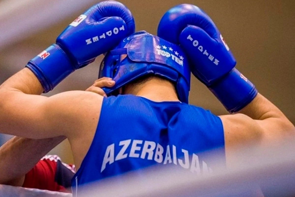 Zəfər ili: boksçularımız beynəlxalq arenada parladı