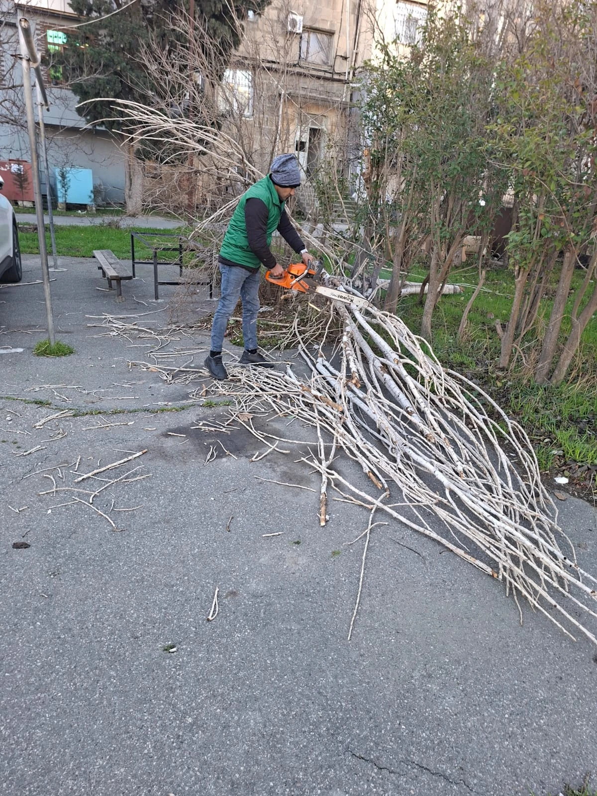 Bakıda güclü külək nəticəsində 8 ağac sındı — 1