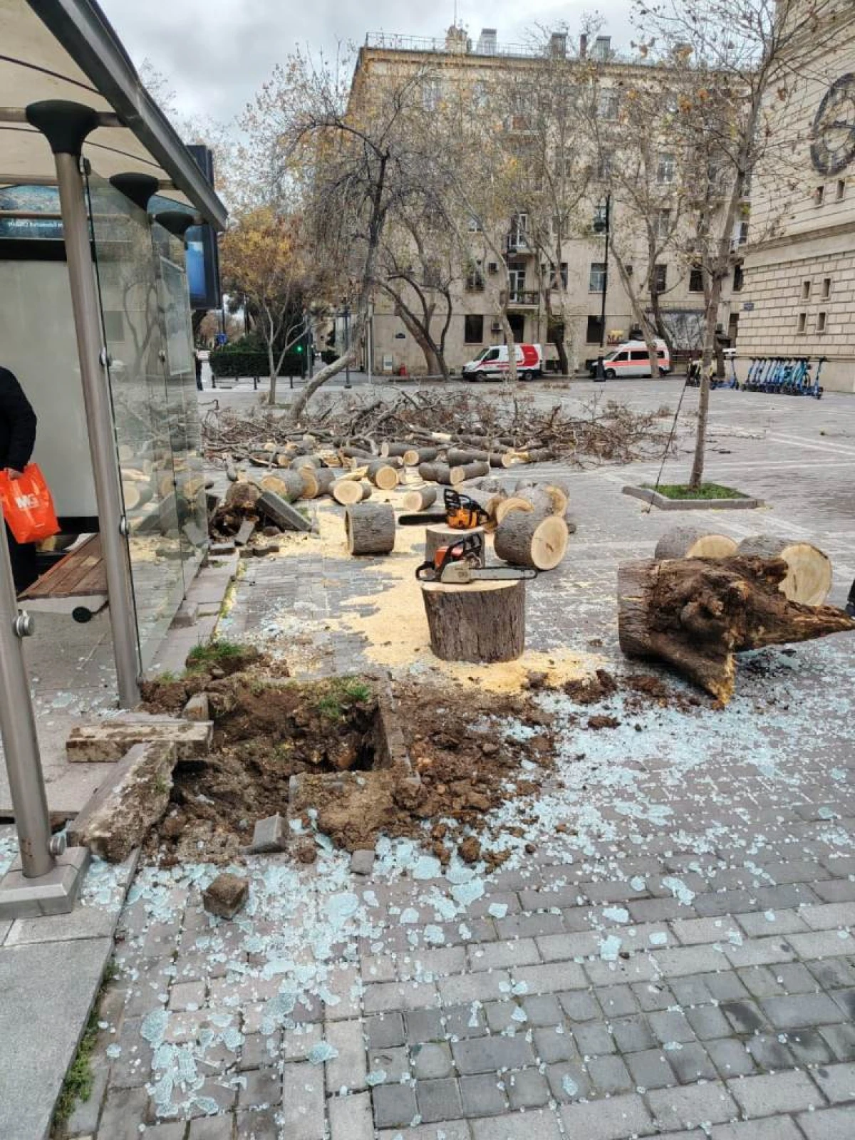 Bakıda güclü külək 9 ağacı sındırdı, 6 ağacın budaqları qırıldı FOTO — 4