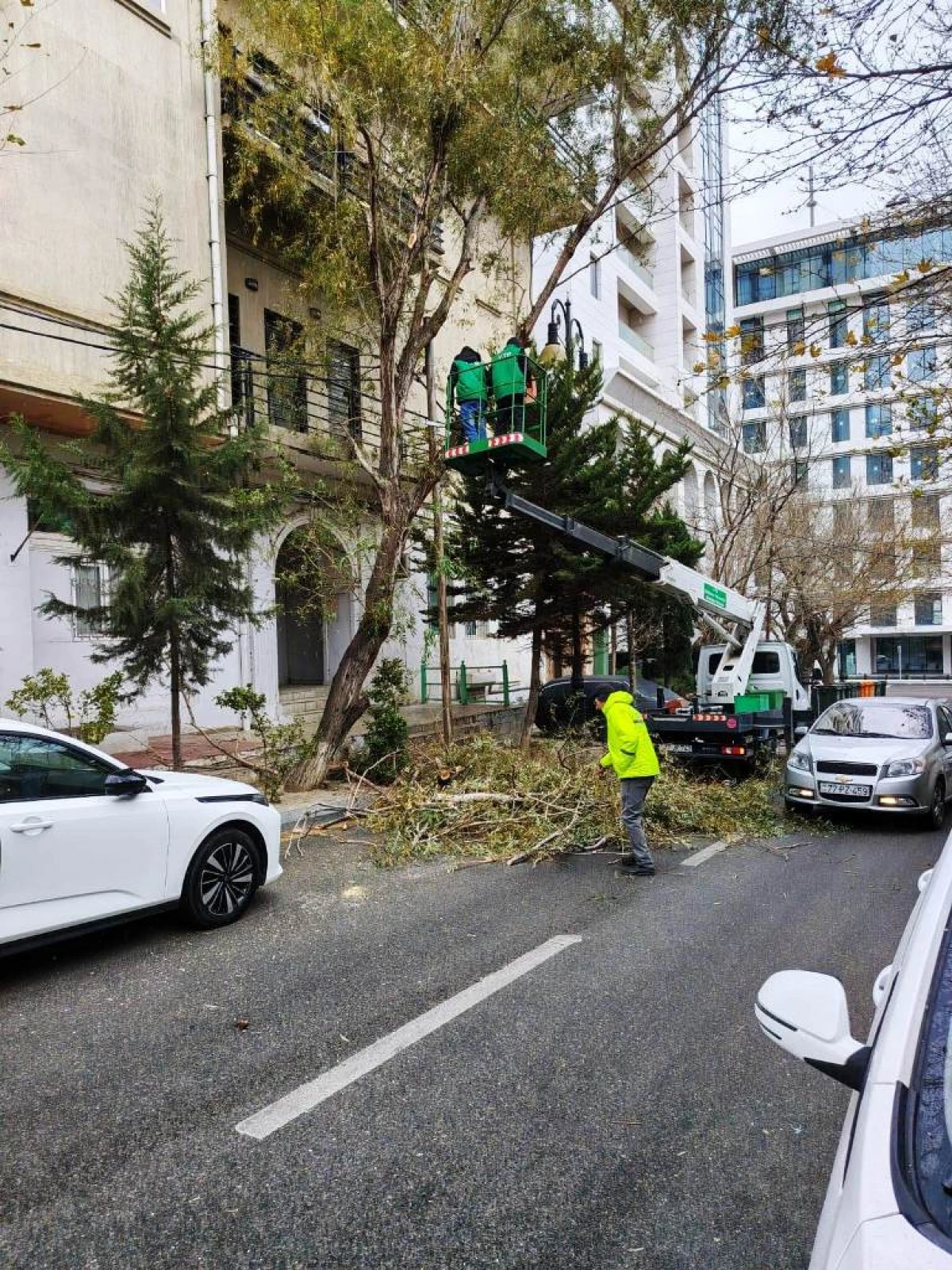 Bakıda güclü külək 9 ağacı sındırdı, 6 ağacın budaqları qırıldı FOTO — 5